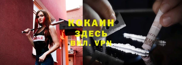 Альфа ПВП Пересвет