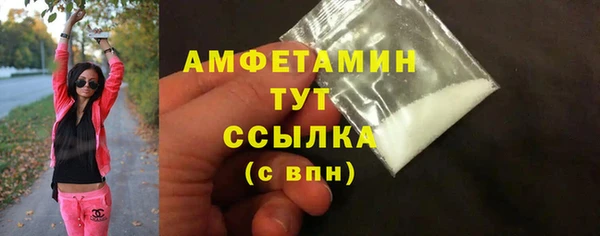 Альфа ПВП Пересвет