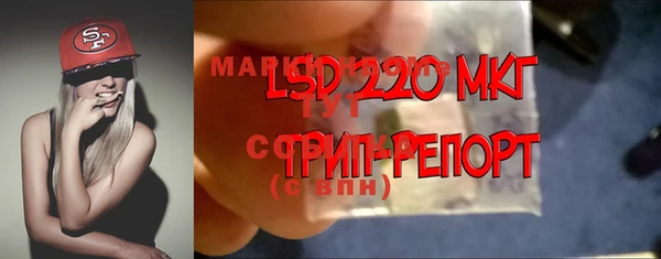 Альфа ПВП Пересвет