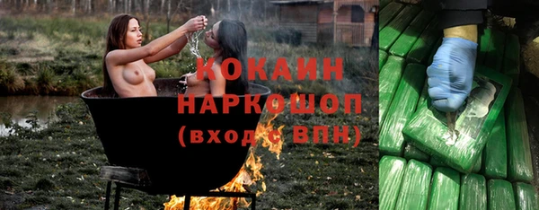 spice Пестово
