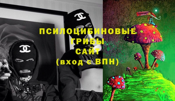 Альфа ПВП Пересвет