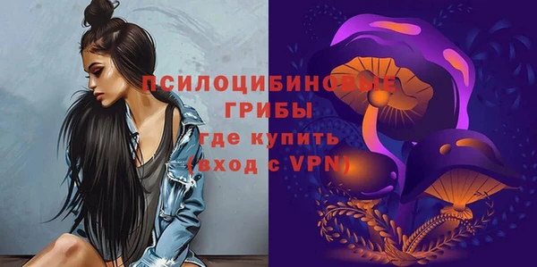 Альфа ПВП Пересвет