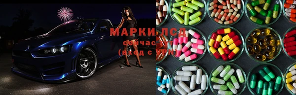 spice Пестово