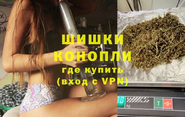 Альфа ПВП Пересвет