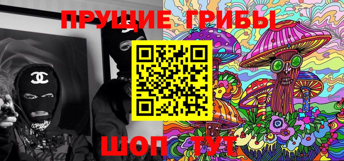 Галлюциногенные грибы Psilocybine cubensis  где найти   Рязань 